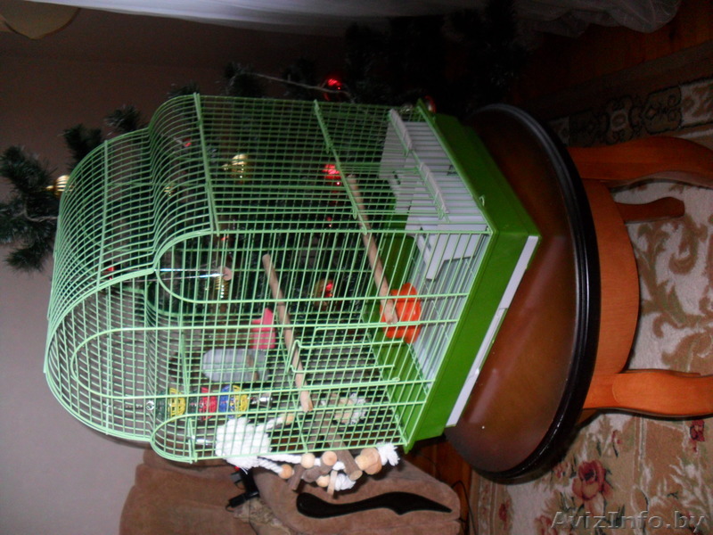 Клетка для попугая железная зелёная - Изображение #1, Объявление #1502947