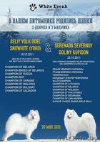 Щенки самоеда от пары МультиЧемпионов  - Изображение #1, Объявление #1273666