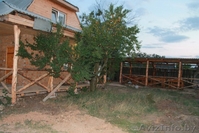 Агроусадьба Стары шлях - Изображение #1, Объявление #1324702