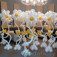 Лучшее оформление свадеб в Мозыре - Изображение #7, Объявление #1110127