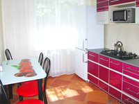 1-комнатная квартира на сутки с Евроремонтом - Изображение #1, Объявление #1384269