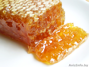Продам: пчелопакеты, пчелосемьи,мёд натуральный (разнотравье, гречка) - 3 тонны, - Изображение #1, Объявление #1076361