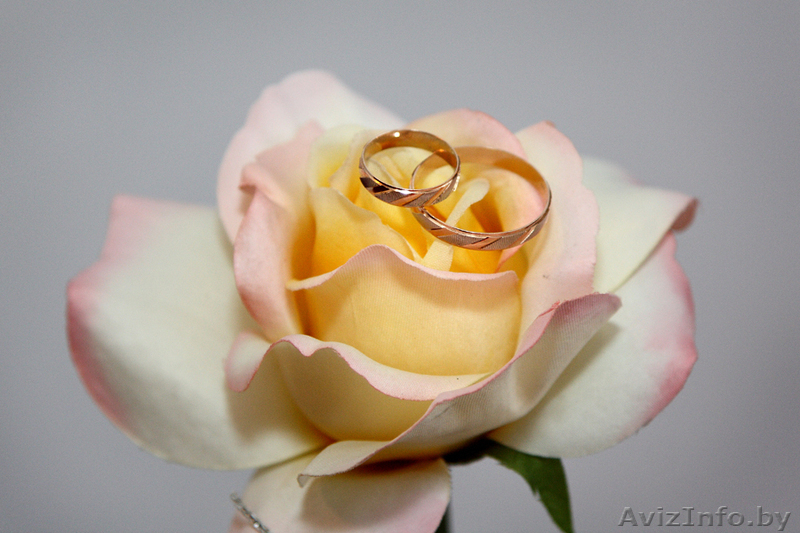 фото, видеосъемка торжеств, проф.аппаратура, креативно, приятные цены - Изображение #2, Объявление #310619