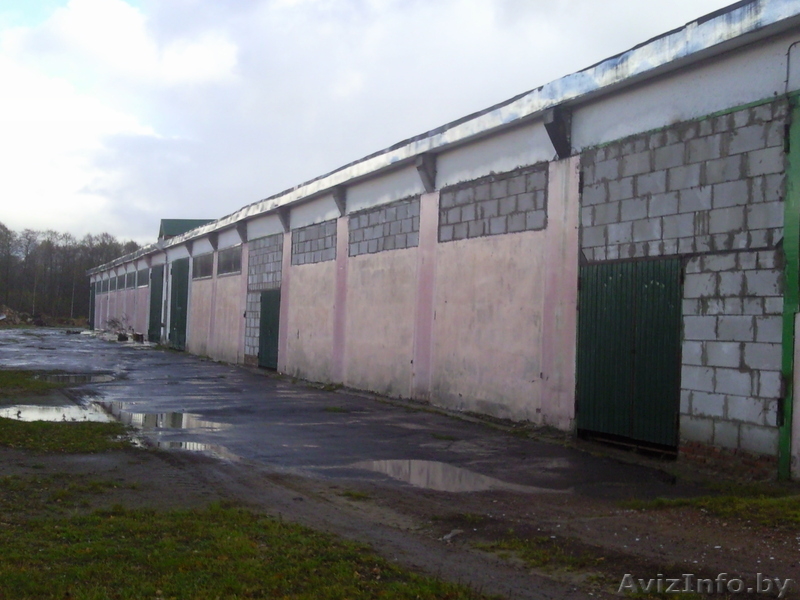 Производственное помещение площадью 1497м2 в Мышанке - Изображение #4, Объявление #785689