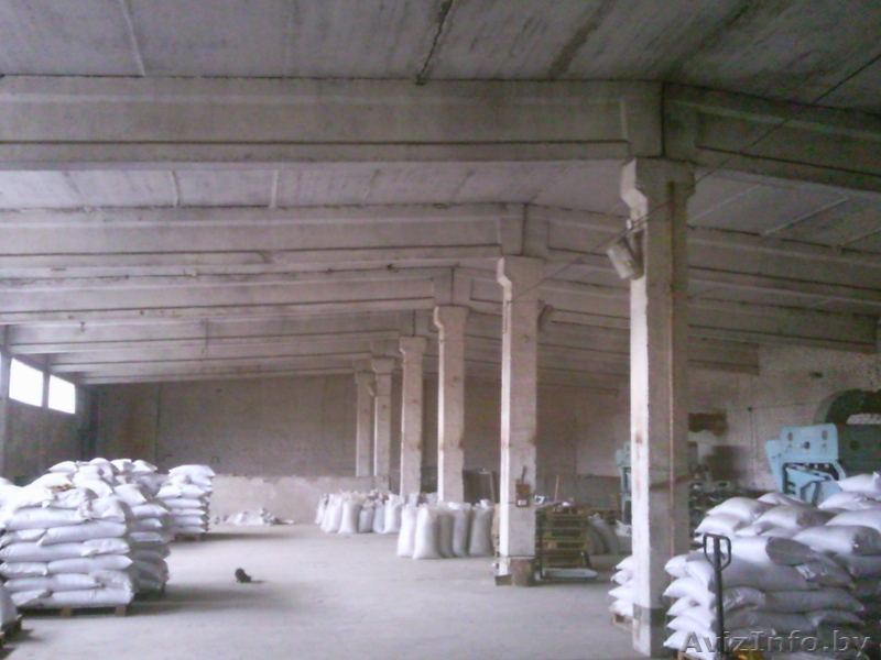 Производственное помещение площадью 1497м2 в Мышанке - Изображение #3, Объявление #785689