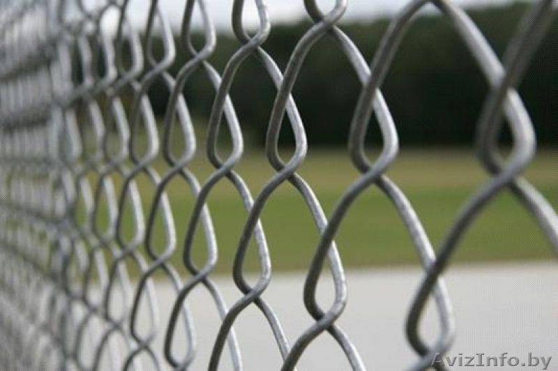 Сетка рабица, теплицы из оцинкованного профиля. - Изображение #1, Объявление #1417684