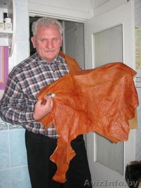 Акция Продаю фермерское хозяйство: ферма 3186м2 зданий, 30 га угодий пруд, - Изображение #4, Объявление #1567074